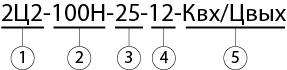 2Ц2 100Н условное обозначение.png 2Ц2 100Н условное обозначение.png